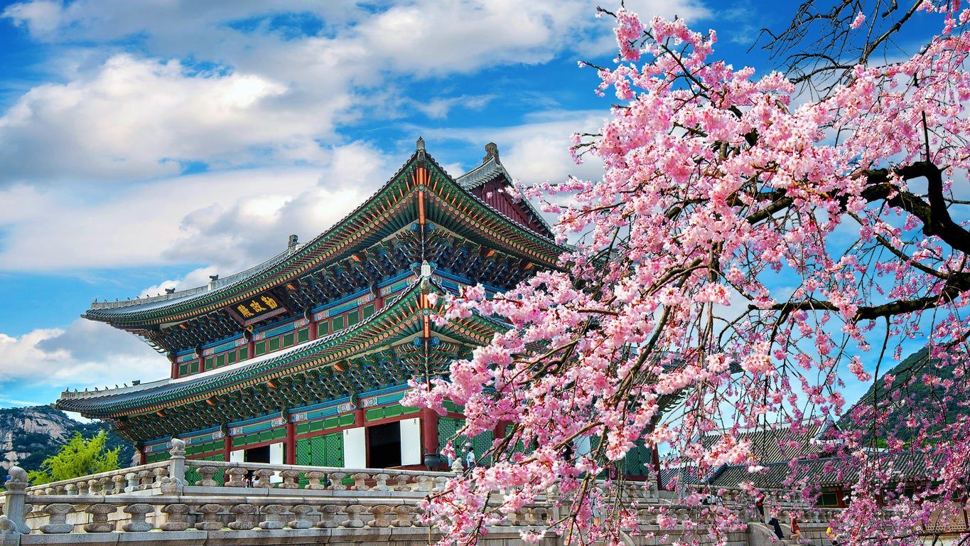 Corea de Sur GApI51