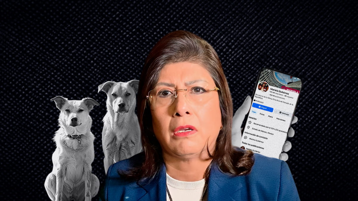 donde esta mariela gutierrez.jpg