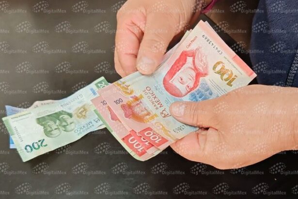 174b705f92ca86e9cad4266d5fadd964 XL dDDSnx