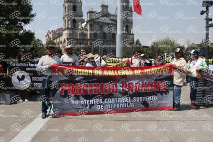 38c84a5ca30ef9a8fbd7a8f467bfd231 XL qV6cdp