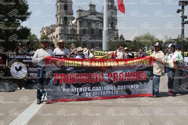 38c84a5ca30ef9a8fbd7a8f467bfd231 XL qV6cdp
