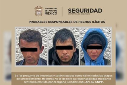 3cdd42659e23f87eede8204928dcd5ba XL EihWzX