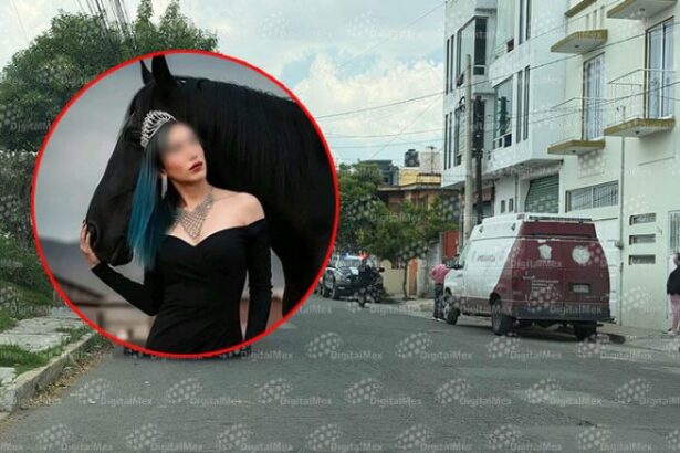 838e09788add2ab2d96723daf41c7c92 XL gY0G3v