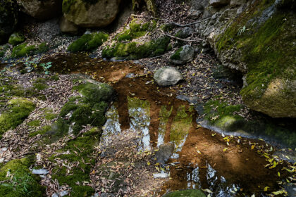 WEB Huixquilucan agua contaminada 2 CNBLc5