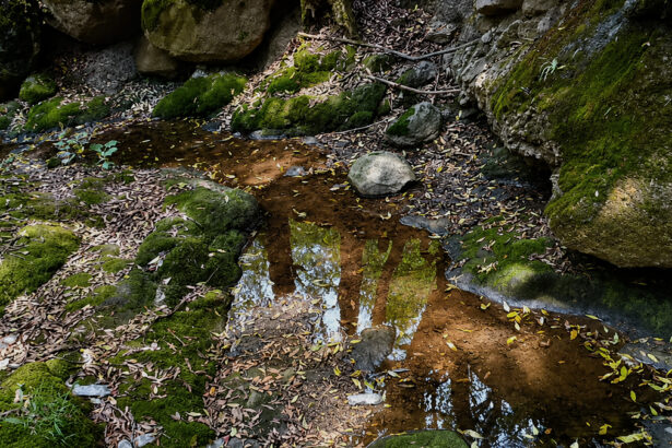 WEB Huixquilucan agua contaminada 2 CNBLc5