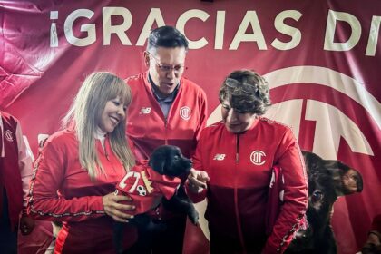 adopcion gatos y perros en Toluca npvNQU