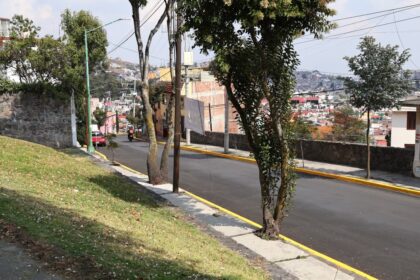 arboles Toluca sJAgXN