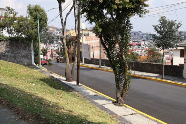 arboles Toluca sJAgXN