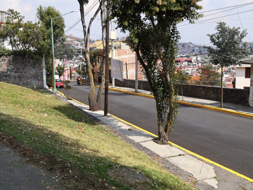 arboles Toluca sJAgXN