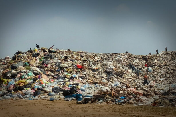 basura texcaltitlan edomex parajes contaminados T43BCB