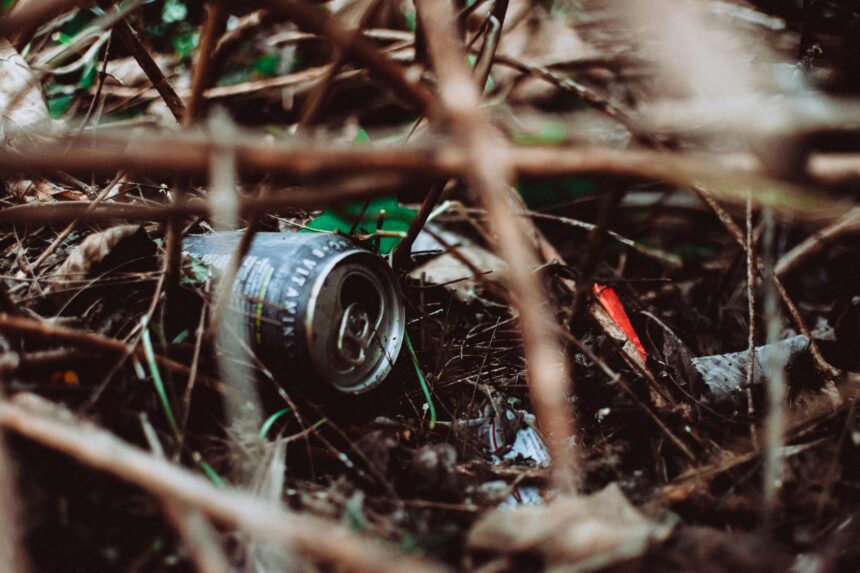 basura2 716Jad