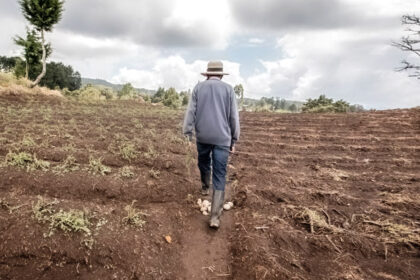 campo edomex WeKtAg