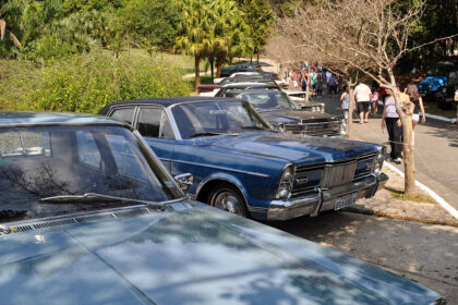 coches 7gxVfU