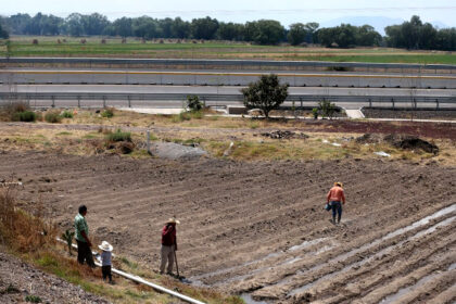corte abre puerta a pagos en texcoco 3sEYzB