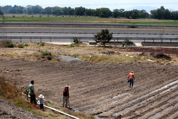 corte abre puerta a pagos en texcoco 3sEYzB