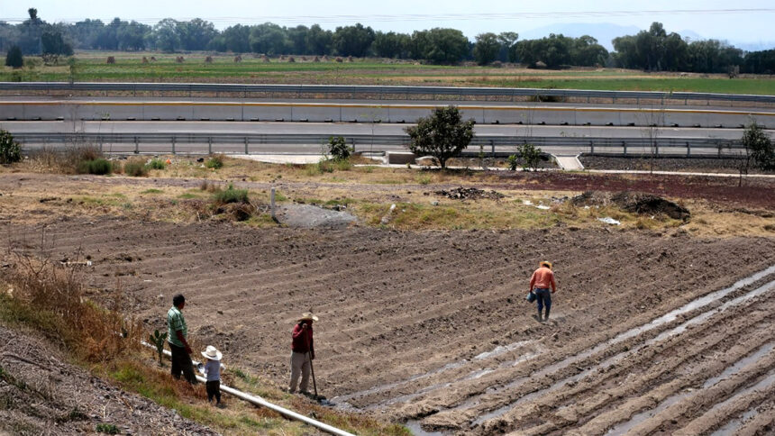 corte abre puerta a pagos en texcoco 3sEYzB