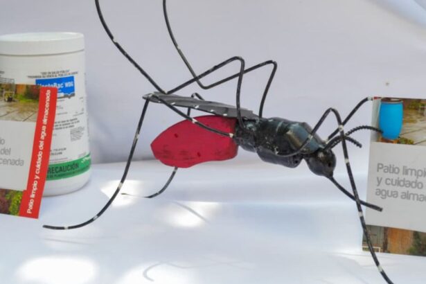 dengue e inundaciones 1 A0usM0