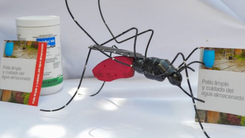 dengue e inundaciones 1 A0usM0