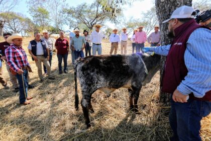 gusano barrenador sur del edomex f596g0