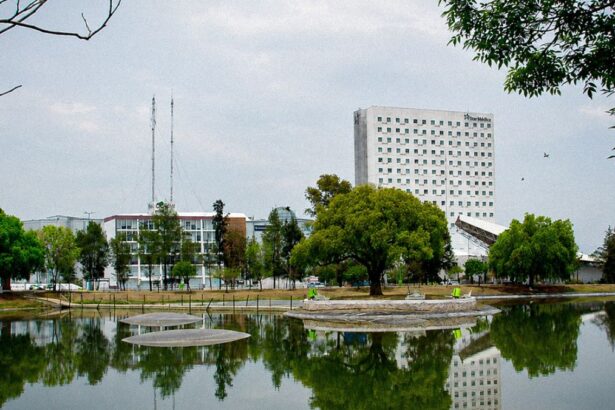 lago LJfDIL