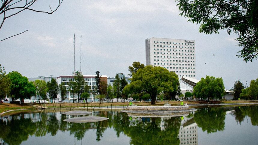 lago LJfDIL