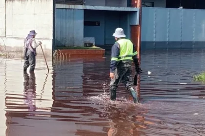 organismo agua lerma basura impedia