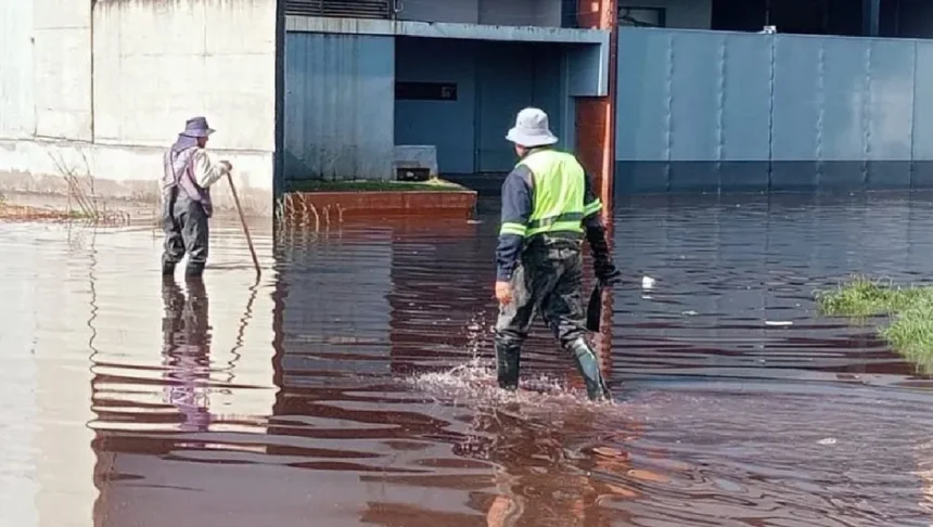 organismo agua lerma basura impedia