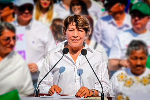 portada delfina NIcMiV