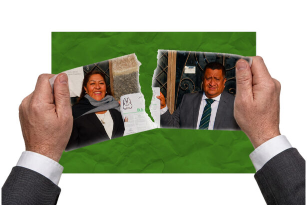 pvem atlautla elecciones 2027 edomex.jpg 6uHiuR