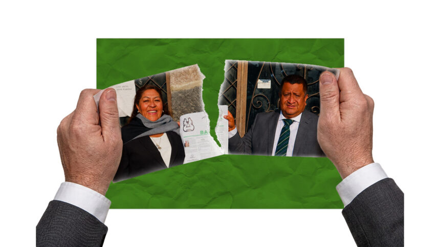 pvem atlautla elecciones 2027 edomex.jpg 6uHiuR