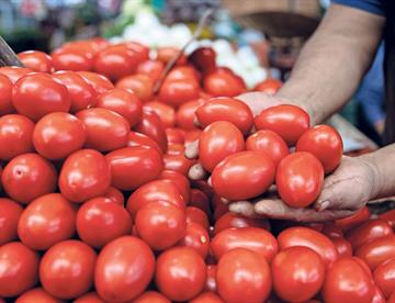 tomate ea558194 focus min0.02 0.21 360 276 5heYFs