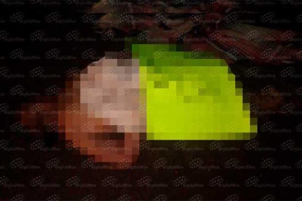 d3eae36bdb423c81f88034f4225e2963 XL 2ahRxQ