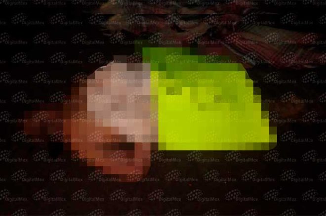 d3eae36bdb423c81f88034f4225e2963 XL