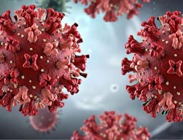 hantavirus 4fa351f6 focus 0 0 360 276