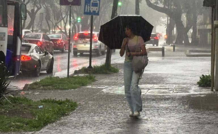 lluvias da2db9ad QK8T7C