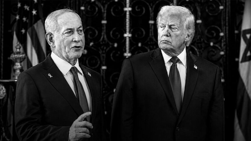 trump ymx1U5