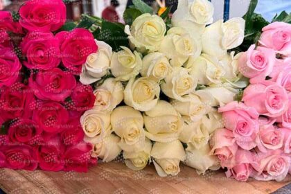 7ea80a787f8c7d669da67afa7b32eec5 XL 6RsoOw