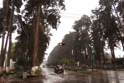 arboles colon.jpg C2ngKo
