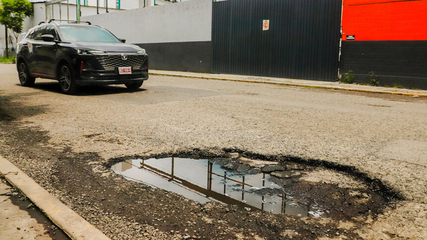 baches 8gRNf1
