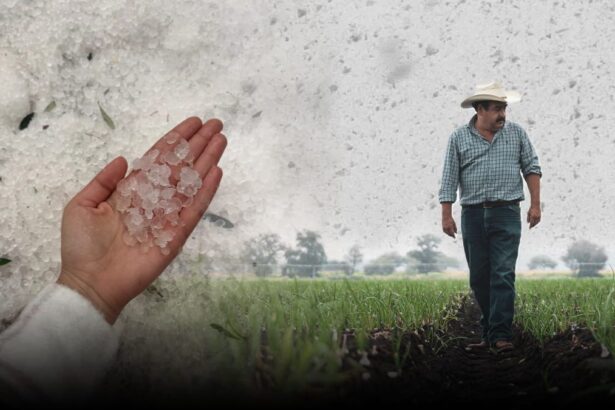 campo edomex lluvias 1 KZOfqq