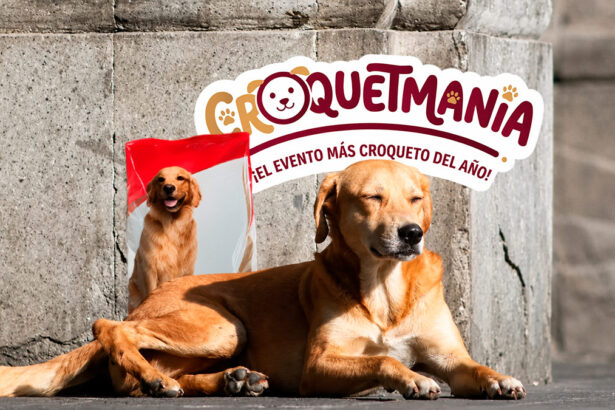croquetmania ZQUM7d