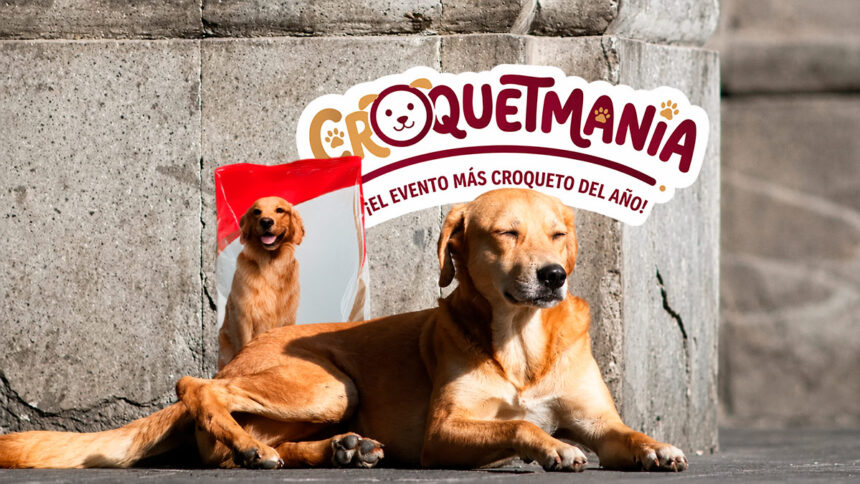 croquetmania ZQUM7d