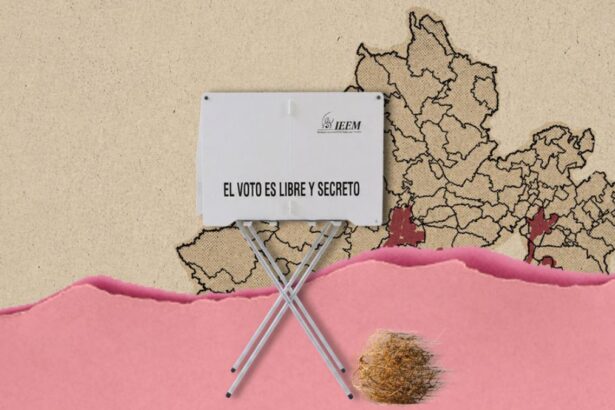 elecciones hW9WwF