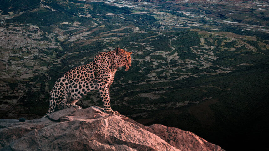 jaguar ixtapan de la sal AS4UEn