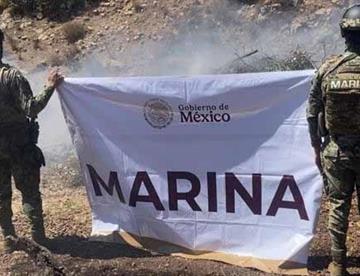 marina 46a2b2ed focus 0 0 360 276
