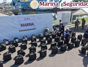 marina 926ac205 focus 0 0 360 276 6rDfJh