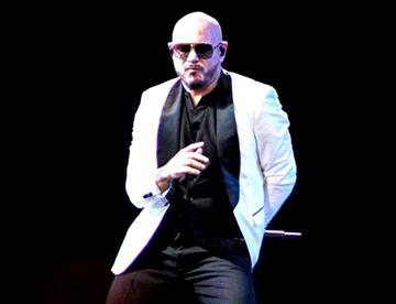 pitbull 96f47b5b focus 0 0 360 276