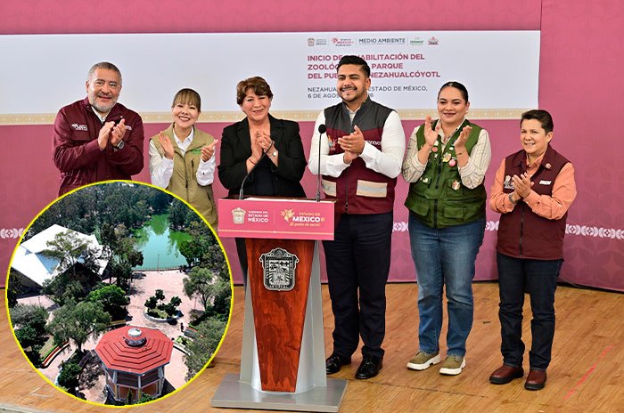5361062f17f3aaf8b53c6675ed271cb0 XL zGluD3