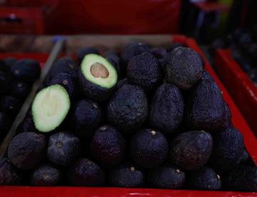 aguacate3 focus 0.08 0.09 360 276 RvWupH