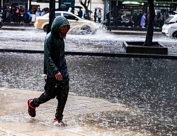 lluvias1 focus 0.06 0.47 360 276 cripF9